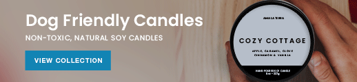Non-Toxic, Natural Soy Candles
