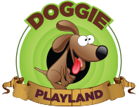 Doggie Playland, Etobicoke's Premiere Dog Daycare Centre